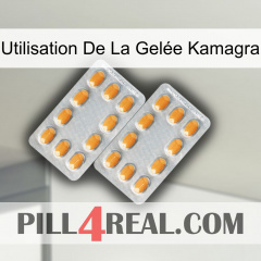 Utilisation De La Gelée Kamagra cialis4